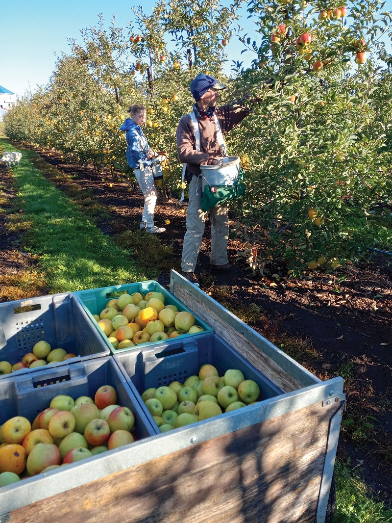 Photo by Blue Roof Orchard