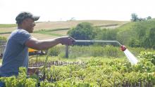 Wandy Peralta of Branches and Berries Farm in Wisconsin's Driftless Area partners with the Savanna Institute to educate farmers about food safety in agroforestry systems.