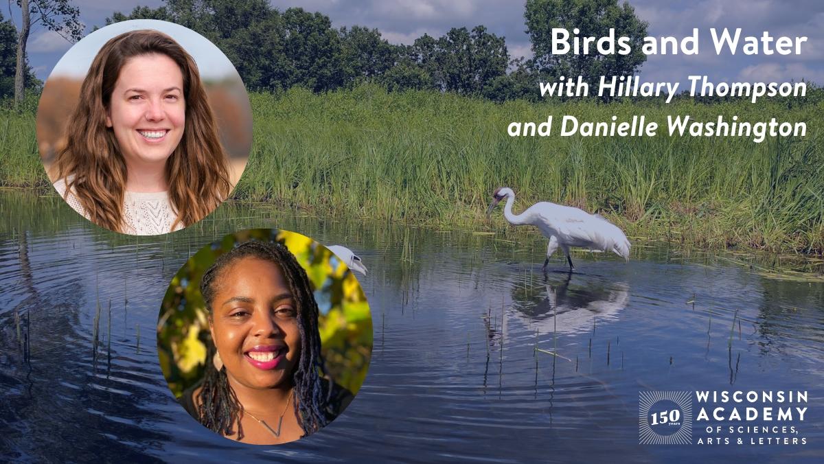 Birds and Water with Hillary Thompson and Danielle Washington.