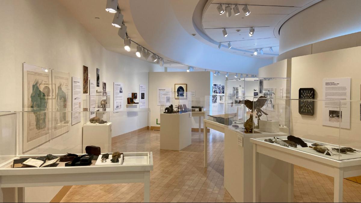 Interior James Watrous Gallery shot of the Collections & Connections exhibit