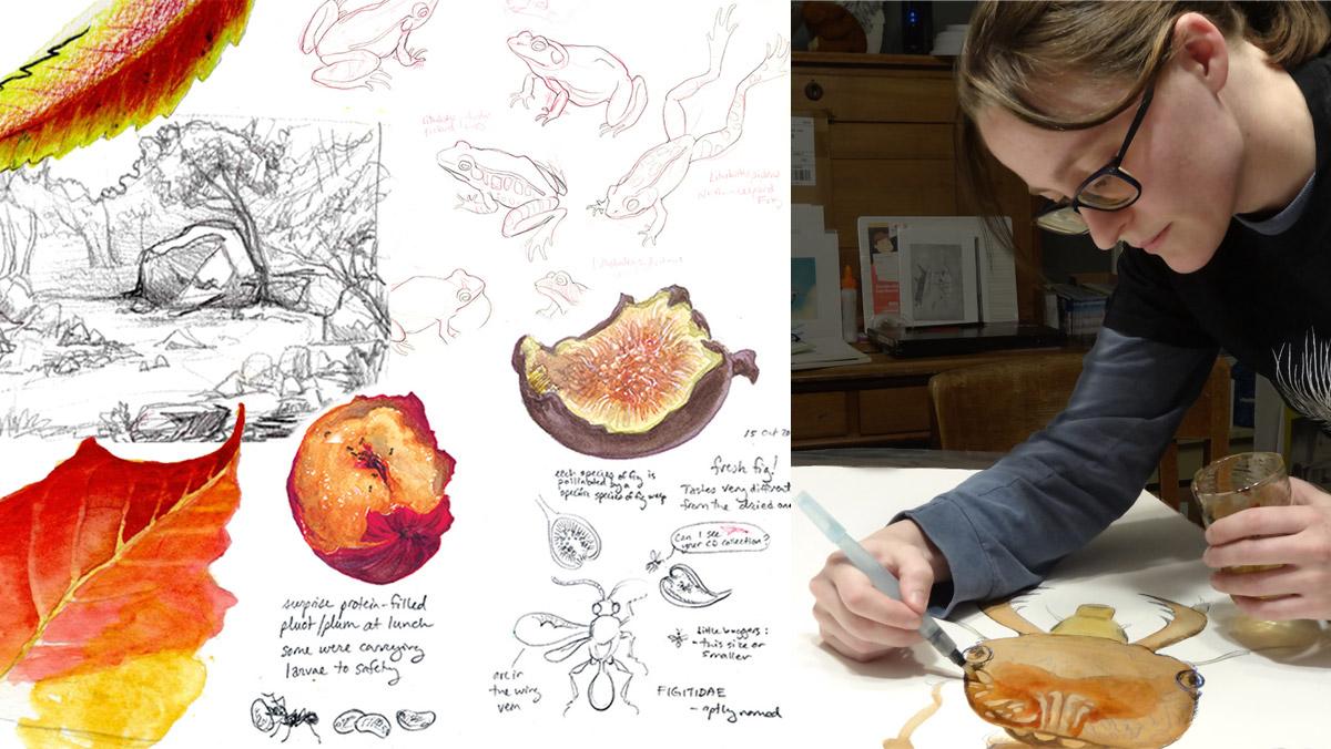 Image of autumn sketchbook and instructor Jacki Whisenant