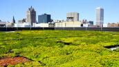 The green roof on MMSD's headquarters in downtown Milwaukee