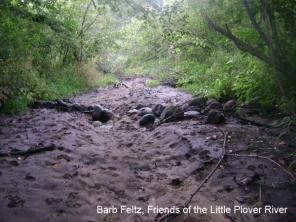 Little Plover River Runs Dry, Barb Feltz