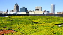 The green roof on MMSD's headquarters in downtown Milwaukee