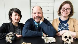  doctoral candidate Alia Gurtov, professor John Hawks, and postdoctoral fellow Caroline VanSickle in the Biological Anthropology Lab at UW–Madison with casts of fossil specimens from hominins who lived 1 to 2 million years ago in Africa and West Asia. The three paleoanthropologists are members of the Rising Star Expedition that discovered Homo naledi, a new species of hominid that existed in South Africa hundreds of thousands to millions of years ago. Photo credit: Jeff Miller/UW–Madison Communications