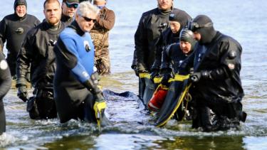 Archaeologists remove a canoe from the lake