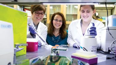 Neuropsychologist Karyn Frick (center), postdoctoral fellow Wendy A. Koss (left), and graduate student Miranda Schwabe (right) in the Frick Lab at the University of Wisconsin–Milwaukee where they examine the complex relationship between hormones and memory in the brain. Photo by Troye Fox/UWM Photos.