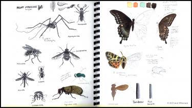 Illustration notebook by course instructor Jacki Whisenant