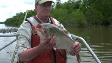 Moy holds a bighead carp caught on a recent trip to Havana, Illinois, on the Illinois River near Lake Chautauqua